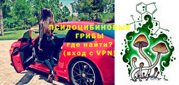 СК Ступино