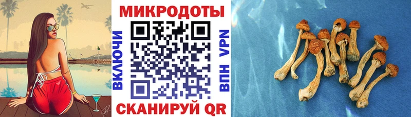 купить наркотики сайты  MEGA ТОР  Псилоцибиновые грибы прущие грибы  Цимлянск 